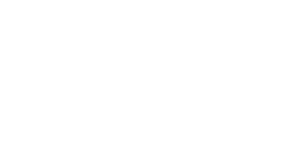 APC Eletrometalúrgica